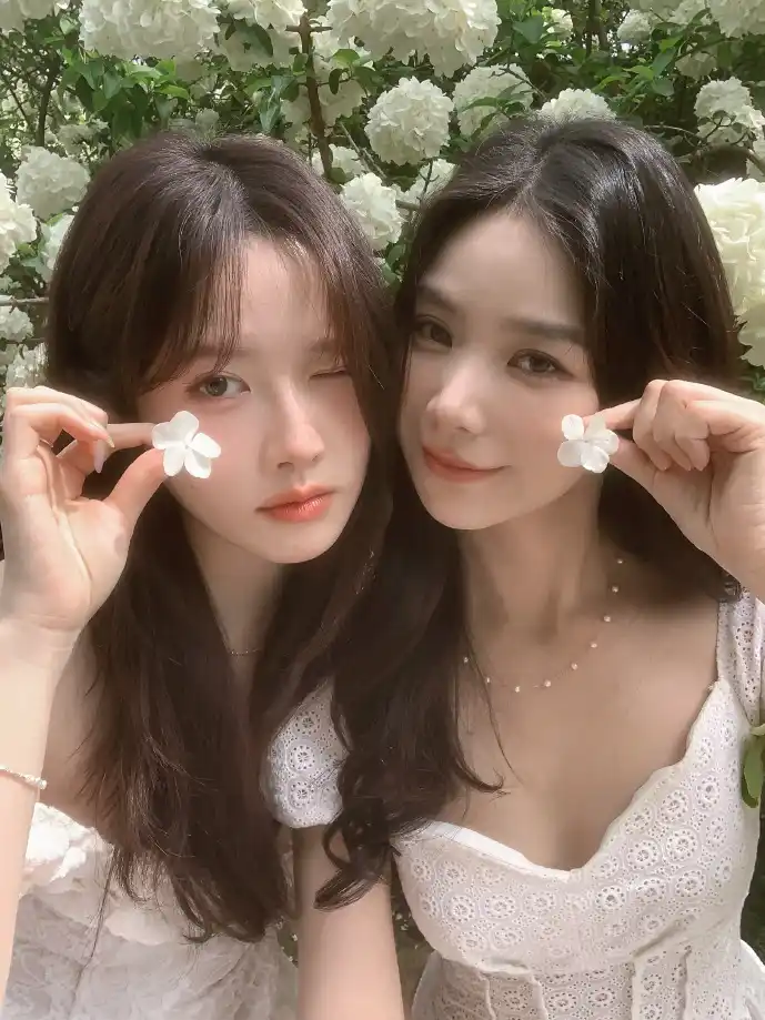 福利种子下载数据对比